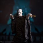 5042053 Harry Potter: Death Eaters Rising