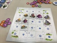 5052466 Bloom Town (Edizione Francese)