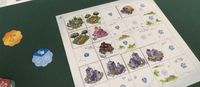 5140712 Bloom Town (Edizione Francese)