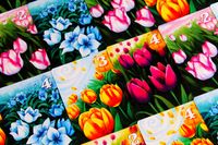 6017762 Gift of Tulips