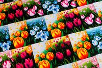 6017763 Gift of Tulips