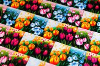 6017764 Gift of Tulips