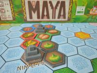 7088893 Maya (Edizione Olandese)