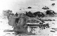 5305241 The Jaws of Victory: Battle of Korsun-Cherkassy Pocket – January/February 1944