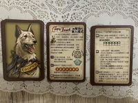 5675344 Cooper Island: Solo Contro Cooper