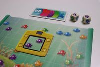 7186106 Foto Fish (Edizione Tedesca)