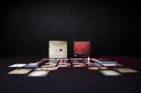 5165996 Mantis Falls (Edizione Inglese)