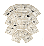 6376622 Mantis Falls (Edizione Inglese)