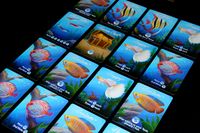 5178797 10 Gallon Tank