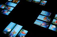 5178807 10 Gallon Tank