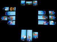 5178815 10 Gallon Tank