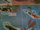 1053345 Axis & Allies:  Guadalcanal