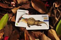 5046711 Darwin's Choice: Before and After