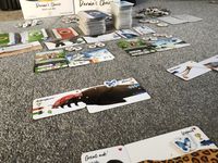 5486119 Darwin's Choice: Before and After