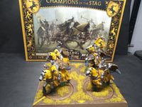 5988829 A Song of Ice &amp; Fire: Tabletop Miniatures Game – Baratheon Starter Set
