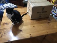 7172850 Frosthaven  (EDIZIONE TEDESCA)