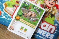 5211967 Imperial Settlers: Empires of the North – Roman Banners