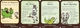 1025901 Munchkin Quest - Il Gioco da Tavolo (Vecchia Edizione)