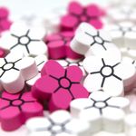 5556667 Sacred Rites