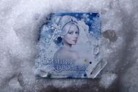 6008947 Winter Queen