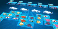5375343 The Great Barrier Reef Card Game