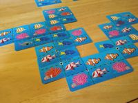 5412877 The Great Barrier Reef Card Game