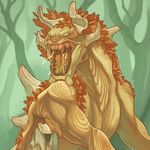 5402077 Deck of Wonders