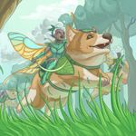 5402081 Deck of Wonders