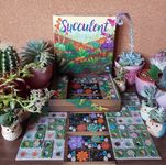 5512090 Succulent