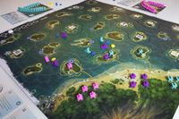 5603360 Polynesia (EDIZIONE INGLESE)