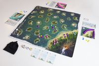 5603393 Polynesia (EDIZIONE INGLESE)