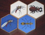 322172 Hive: The Mosquito