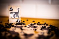 5844968 Rat Attack Party