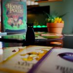 5675879 Disney Hocus Pocus: The Game