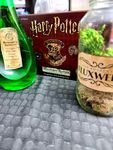 5574841 Harry Potter: Hogwarts Battle - Incanti e Pozioni