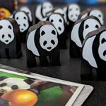 6914988 Endangered: Giant Panda module