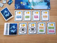 5517608 Whale Riders