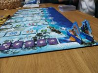 5976014 Whale Riders