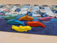 6216145 Whale Riders