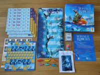 6271206 Whale Riders