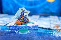 6561601 Whale Riders