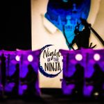 6352639 Night of the Ninja