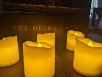 6289616 The Night Cage