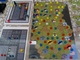 1369899 Age of Steam Expansion: War in Iraq &amp; New York Subway 