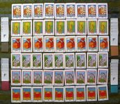 626557 Lascaux (EDIZIONE TEDESCA)