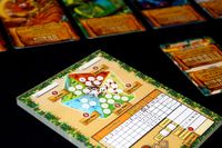 5502607 Roar and Write!