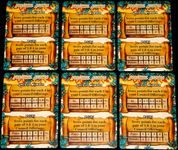 5502611 Roar and Write!