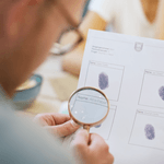 6011372 Hidden Games Crime Scene: The Midnight Crown