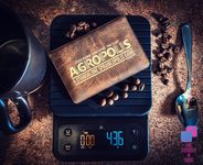 6370841 Agropolis (Edizione Inglese)