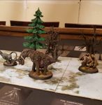 5755479 Fearsome Wilderness